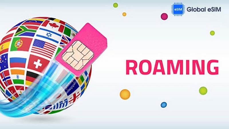 mint international roaming