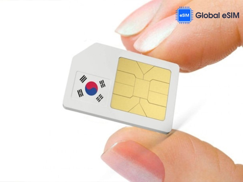 Sim card travel