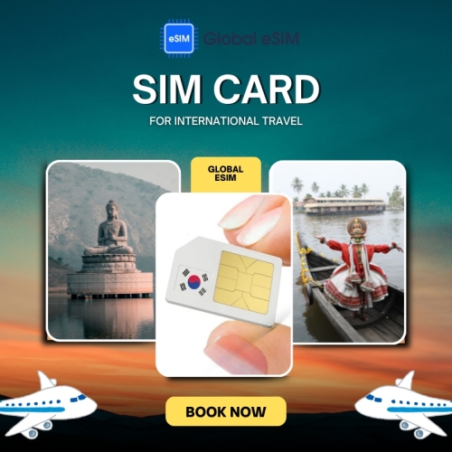 Ultimate Guide to SIM Card for International Travel